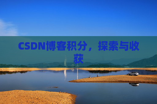 CSDN博客积分,探索与收获